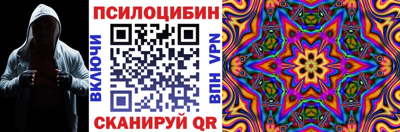 Галлюциногенные грибы Cubensis  где найти   Вихоревка 